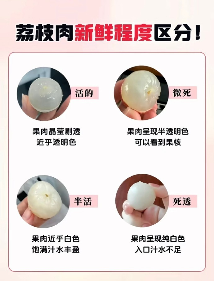 活荔枝 死荔枝又到了吃荔枝的季节了，看了这个才知道我之前吃的都是微死不活的