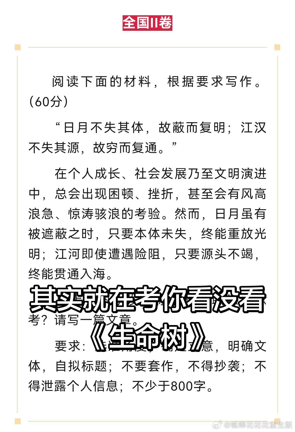 杨紫不拍剧时都在忙什么都和嘿子说了让你们去看《生命树》《家业》，跟害你们似的！但