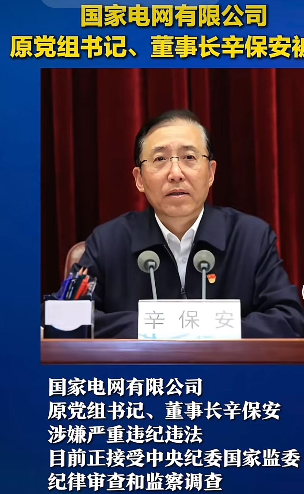 史记《辛保安列传》

辛保安者，河南辉县人也。生于一九六零年十月￼￼￼。少嗜工学