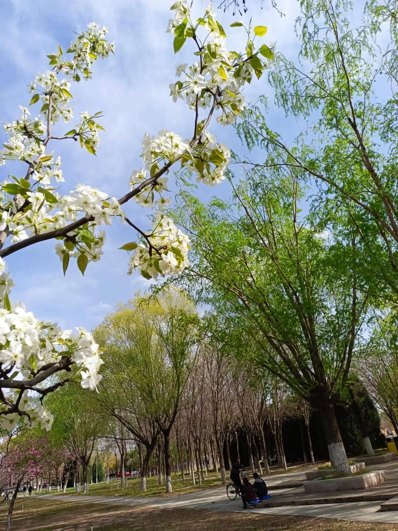 偶尔，会心血来潮，
把自己伪装成文艺女青年，
冲一杯咖啡，
在扑鼻而来浓郁的咖啡