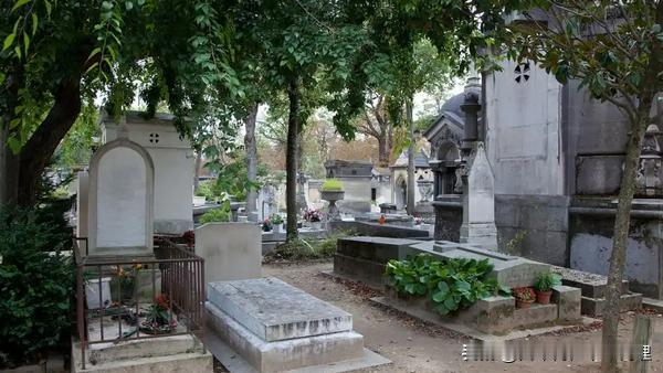 独居女子离世，“身后事”如何处置引发社会关注

近日，上海一独身女子蒋女士不幸离