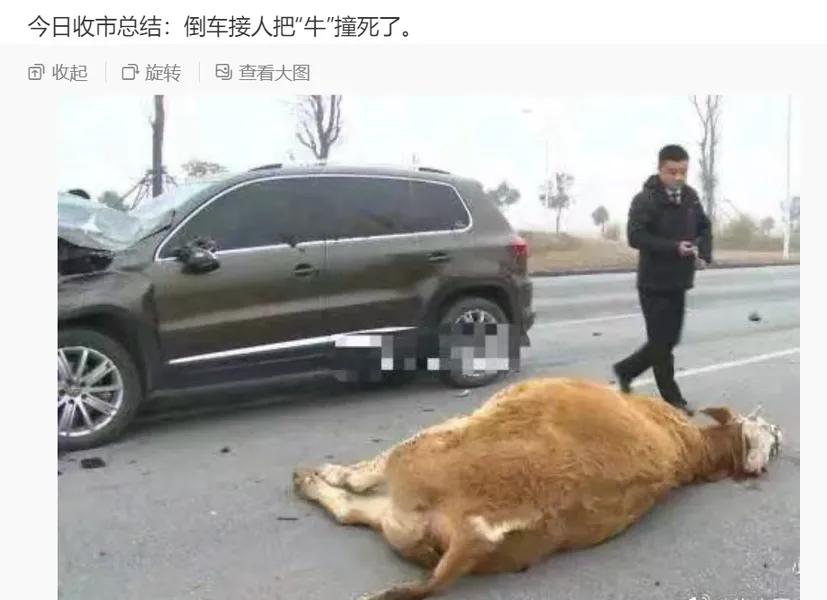 今日收盘总结：倒车接人，把“牛”撞死了！