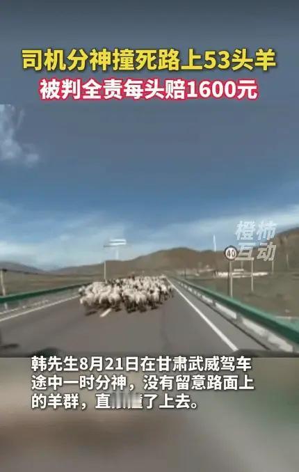 8月21日，甘肃武威车主韩先生正常驾车行驶在道路上，行驶途中一时疏忽走神，注意力