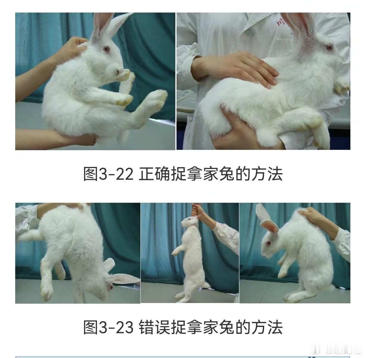 错误示范好诡异 
