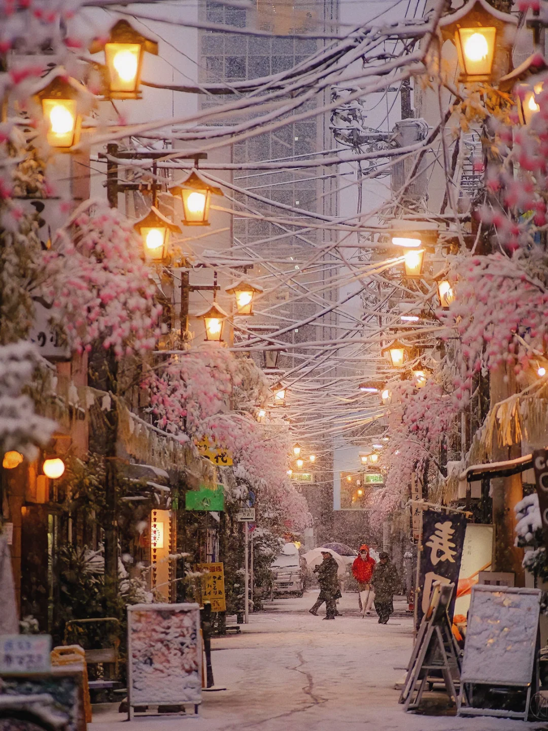 东京人均300+超赞民宿🎄表参道步行5分钟！