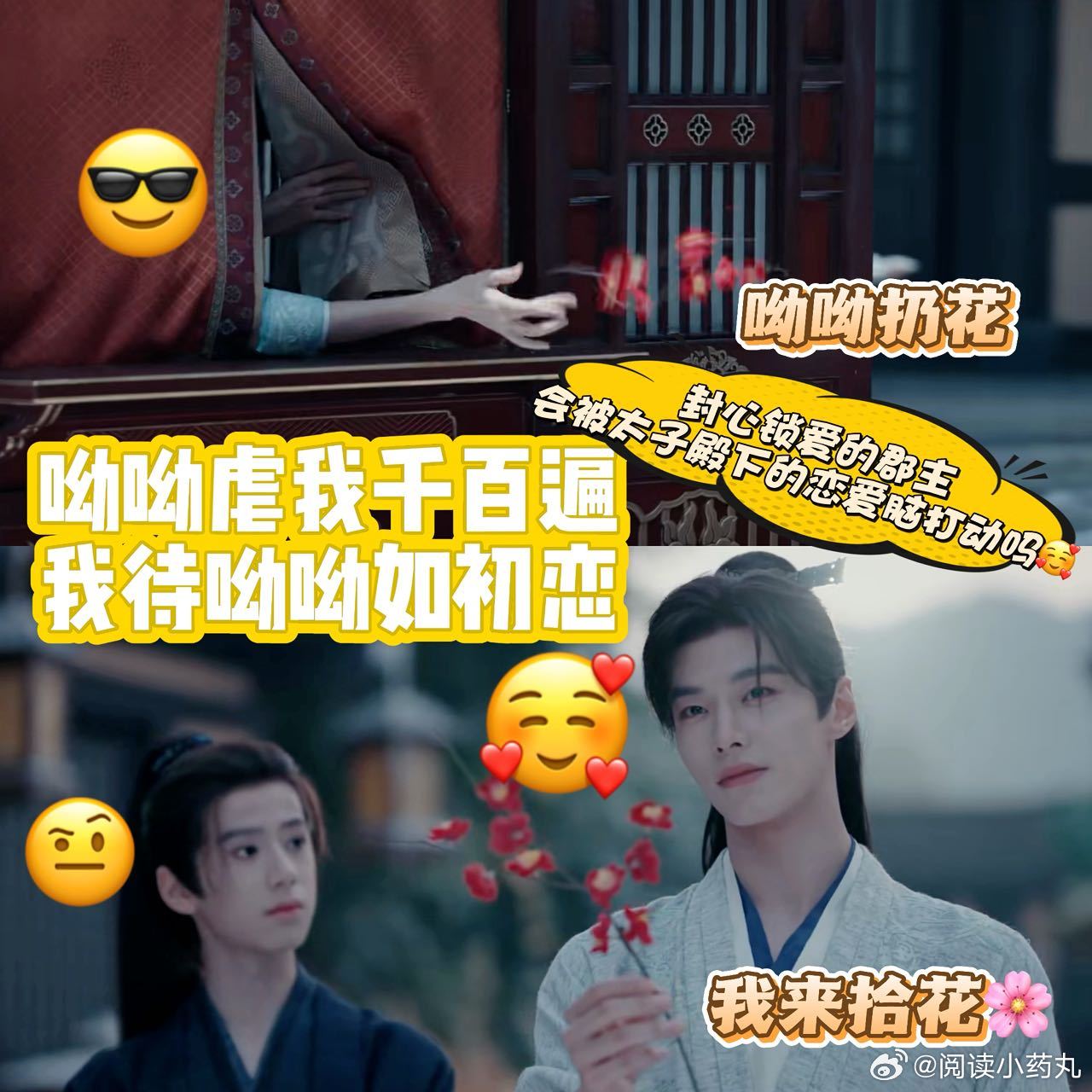 呦呦虐我千百遍我待呦呦如初恋 太子殿下的爱太拿得出手了！哪怕一次次碰壁，也绝不收