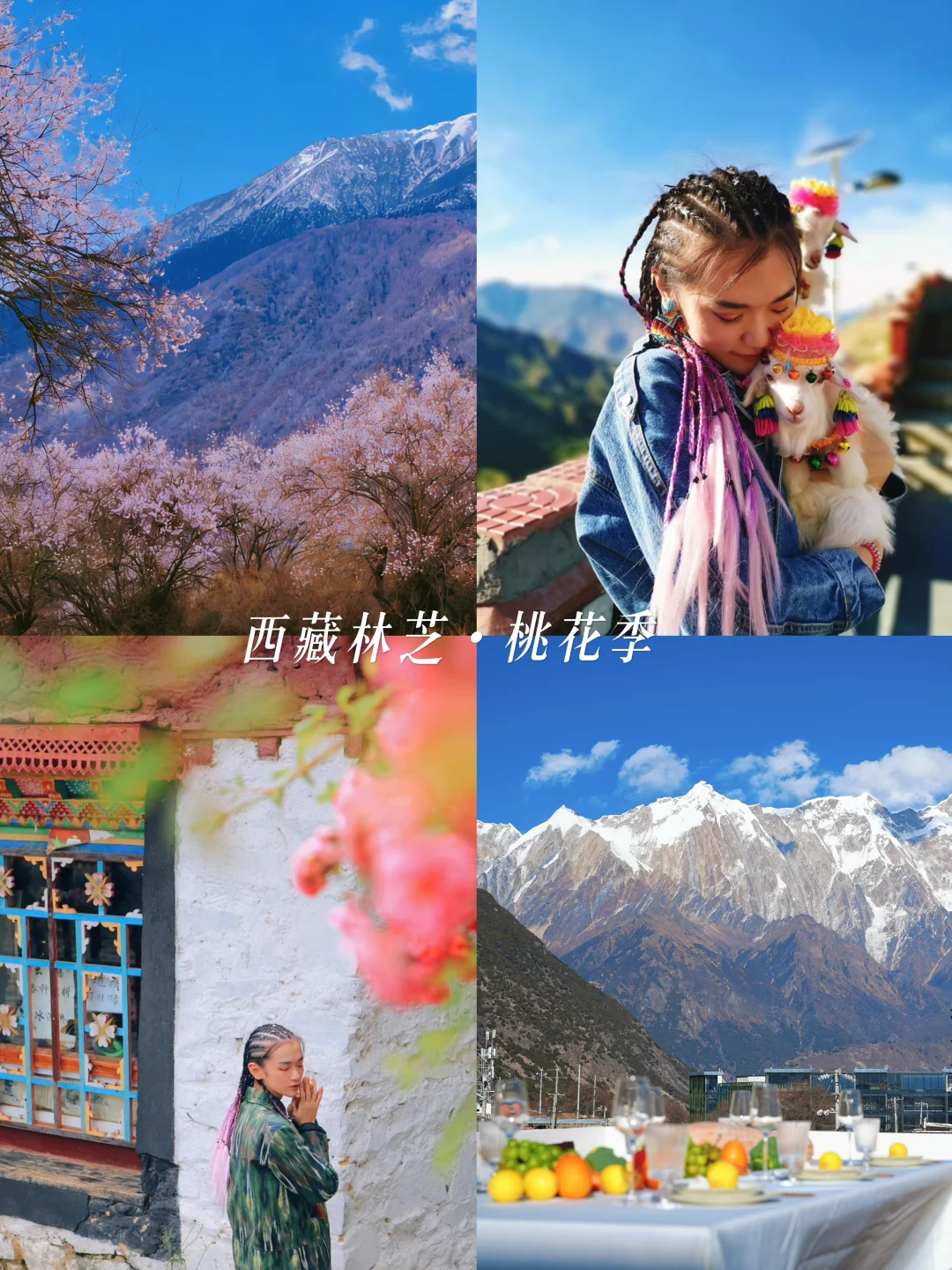 📍西藏林芝・桃花季｜南迦巴瓦黄金观景位