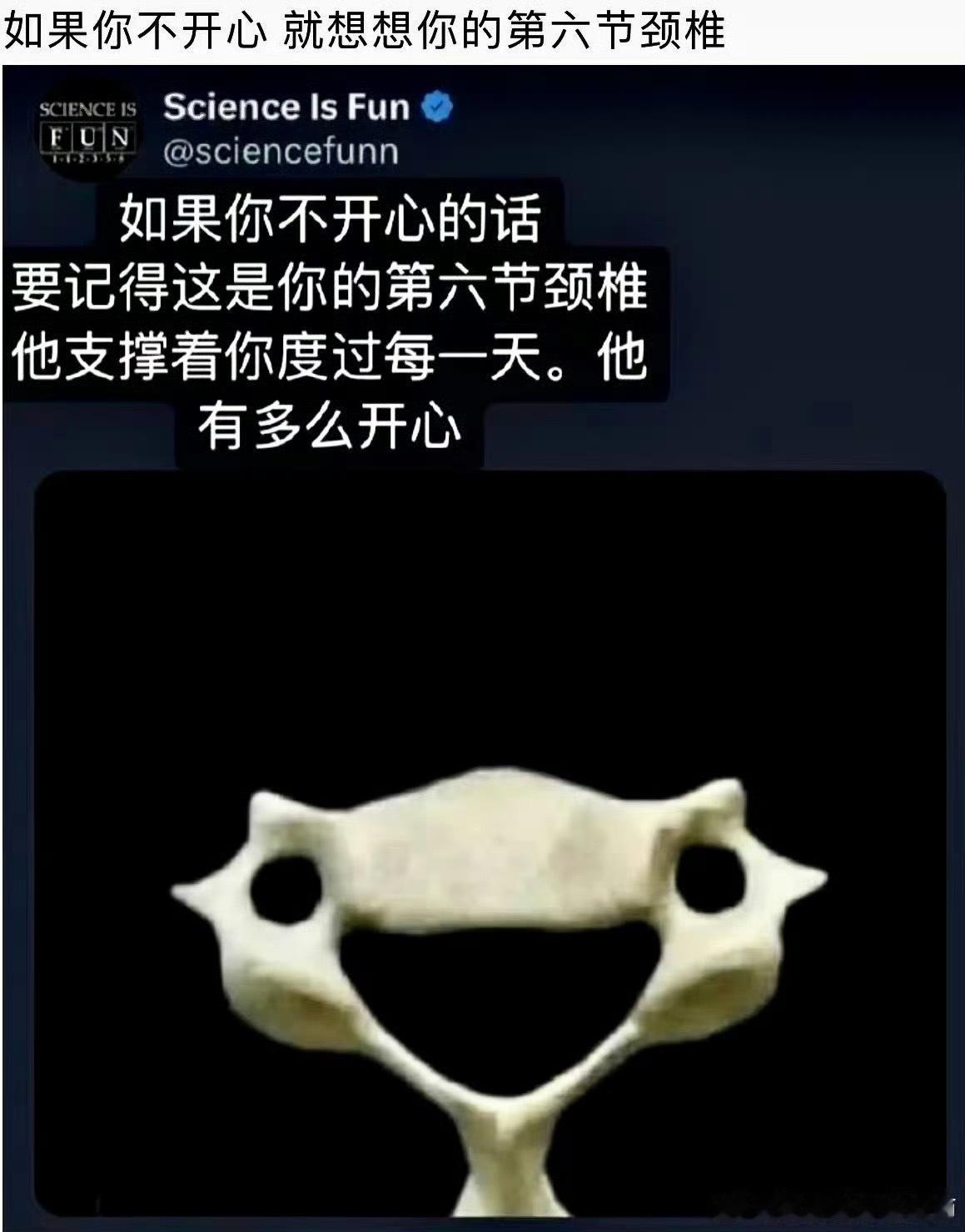 你的身体比你想象中更爱你 看到这句话，我就自动想到了这张图： 