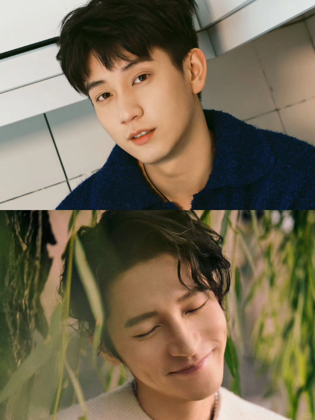 又一双男主剧悬疑剧⁉️这阵容好有盼头🔥