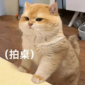 烂工作，一大早就让我心情不好，我该怎么找到另一个稍微好点的工作呢？ ​​​