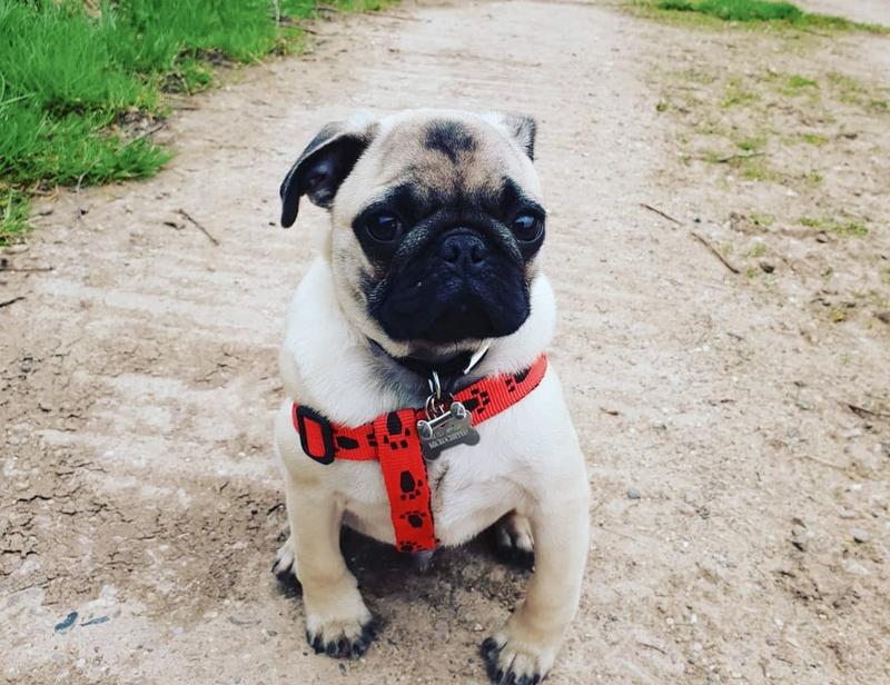 我最幸福的事，就是在慵懒的周末午后，宅在家里追爱看的剧。我会提前准备一大包薯片，