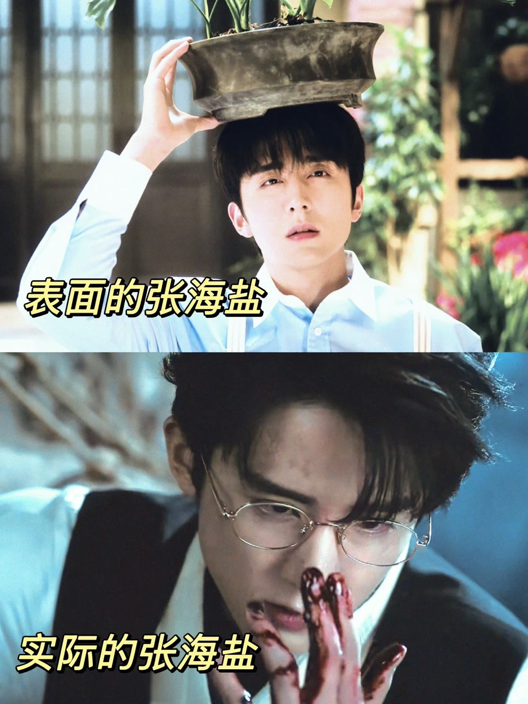 南部档案完全是张新成的演技大赏吧😮