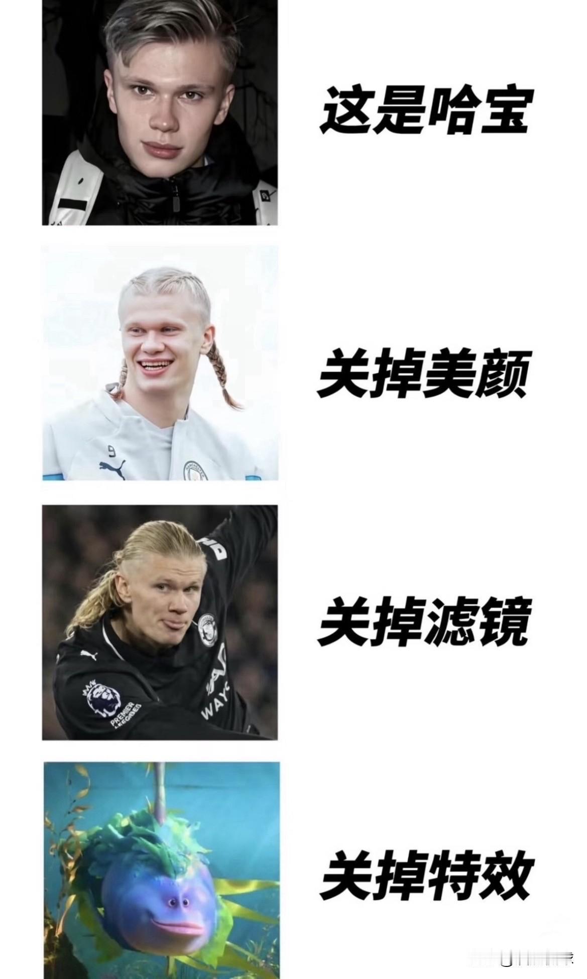 哈哈哈哈哈哈！！笑死了