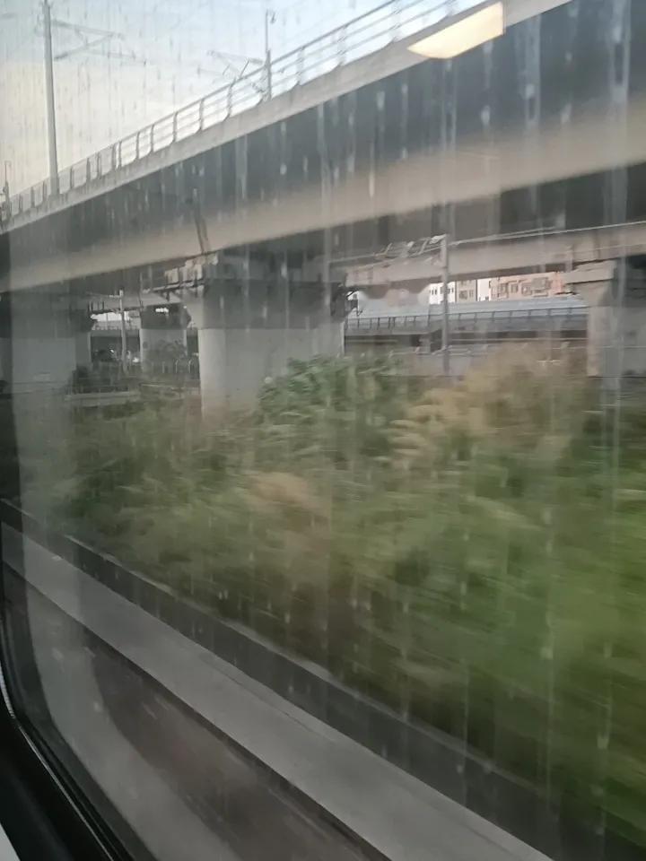 出发喽！
大武汉我来了哦
武汉吃的是真香
我要去吃个遍！
现在美美睡觉咯！