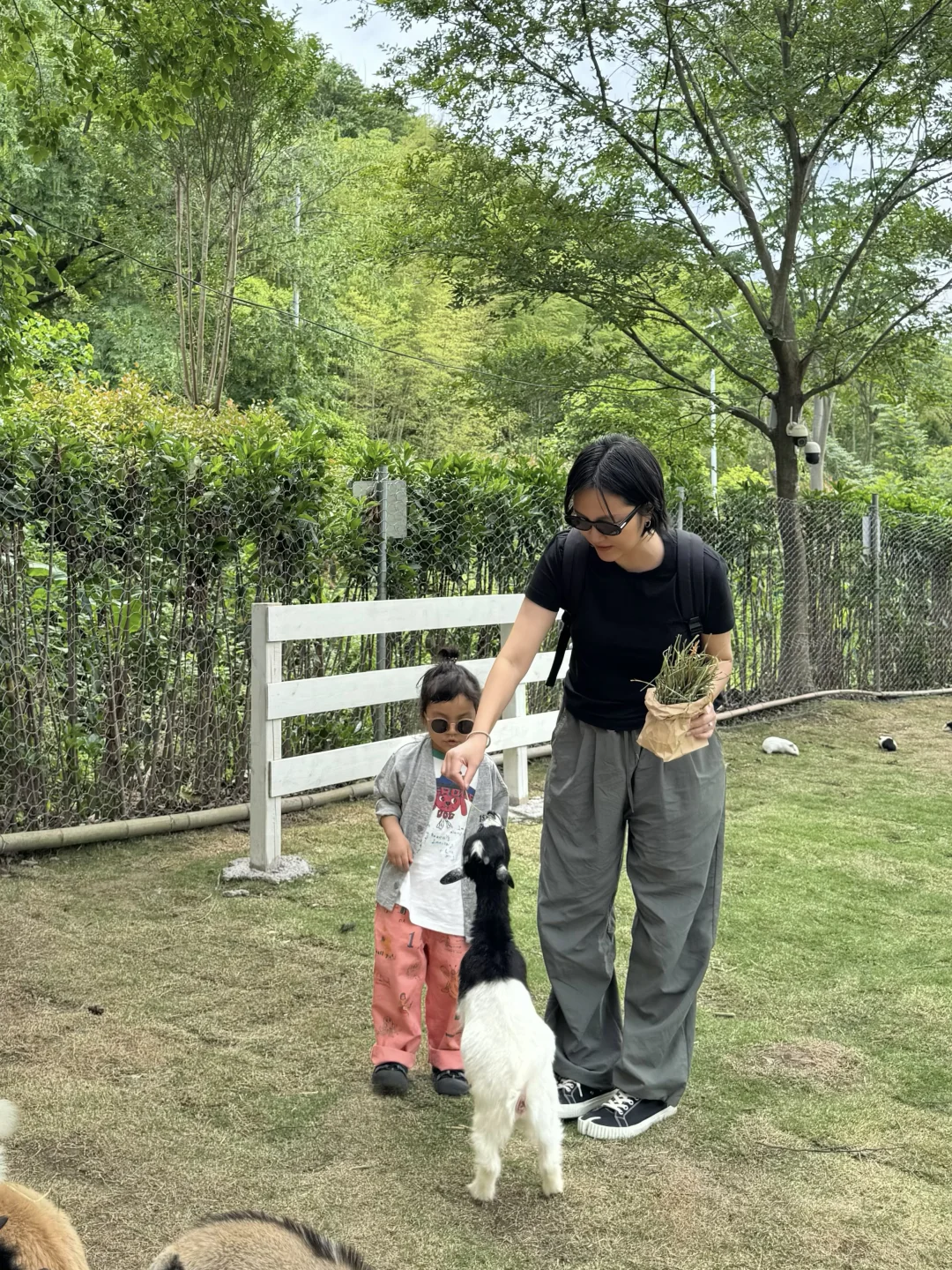 做梦也想不到，我成为了这样的母亲。