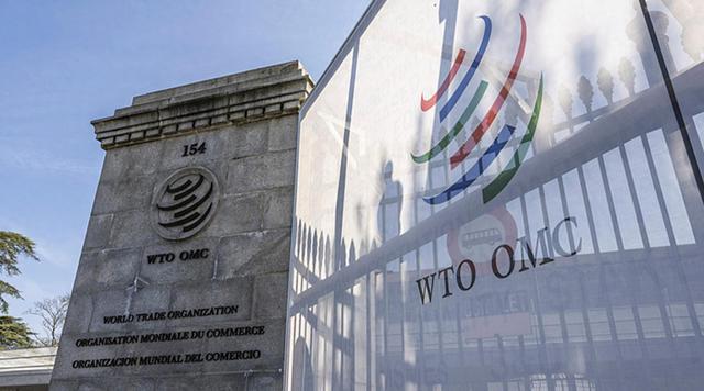 你看到的标题对应的是 WTO DS629 中国诉土耳其电动汽车限制措施案
 
一