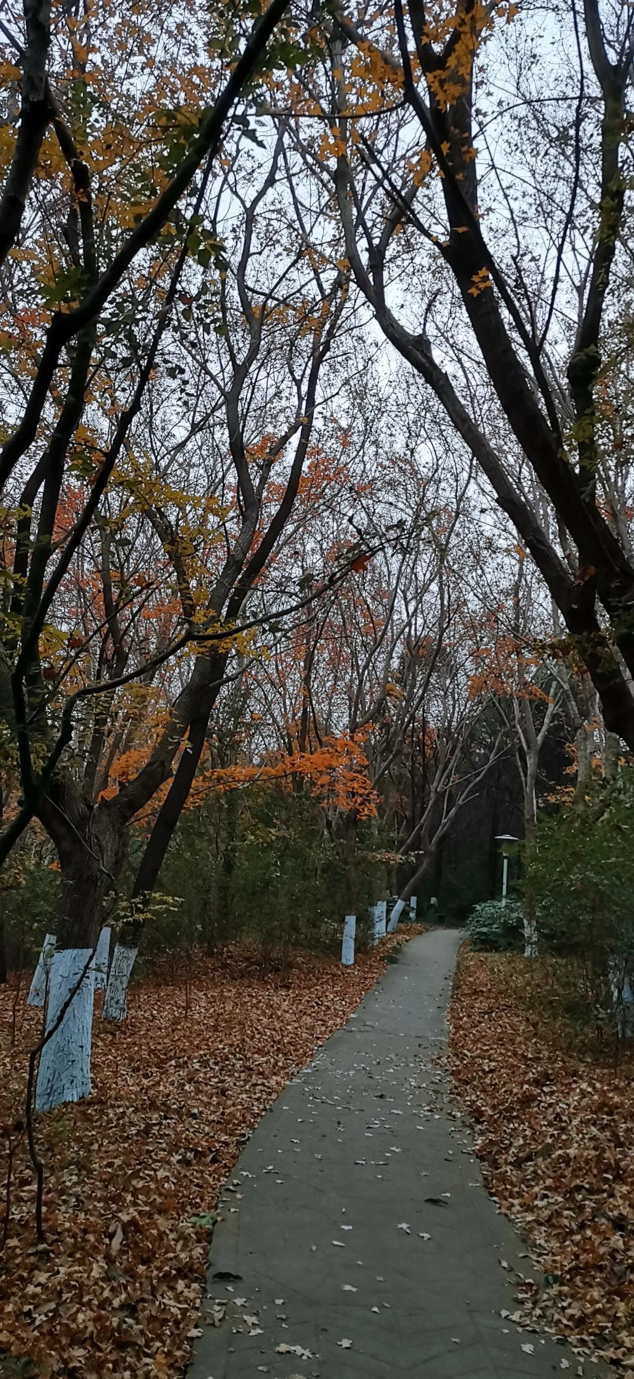 分享一张你最近随手拍的照片吧