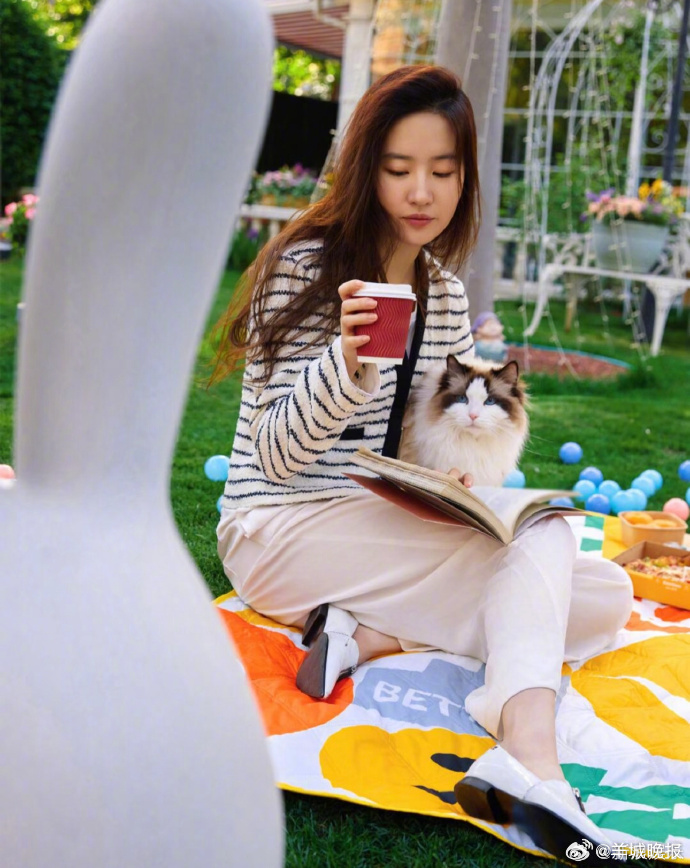 【谁和猫猫的合照又萌又可爱？】你喜欢养小猫咪吗？当颜值超高的明星们碰上可爱的萌宠