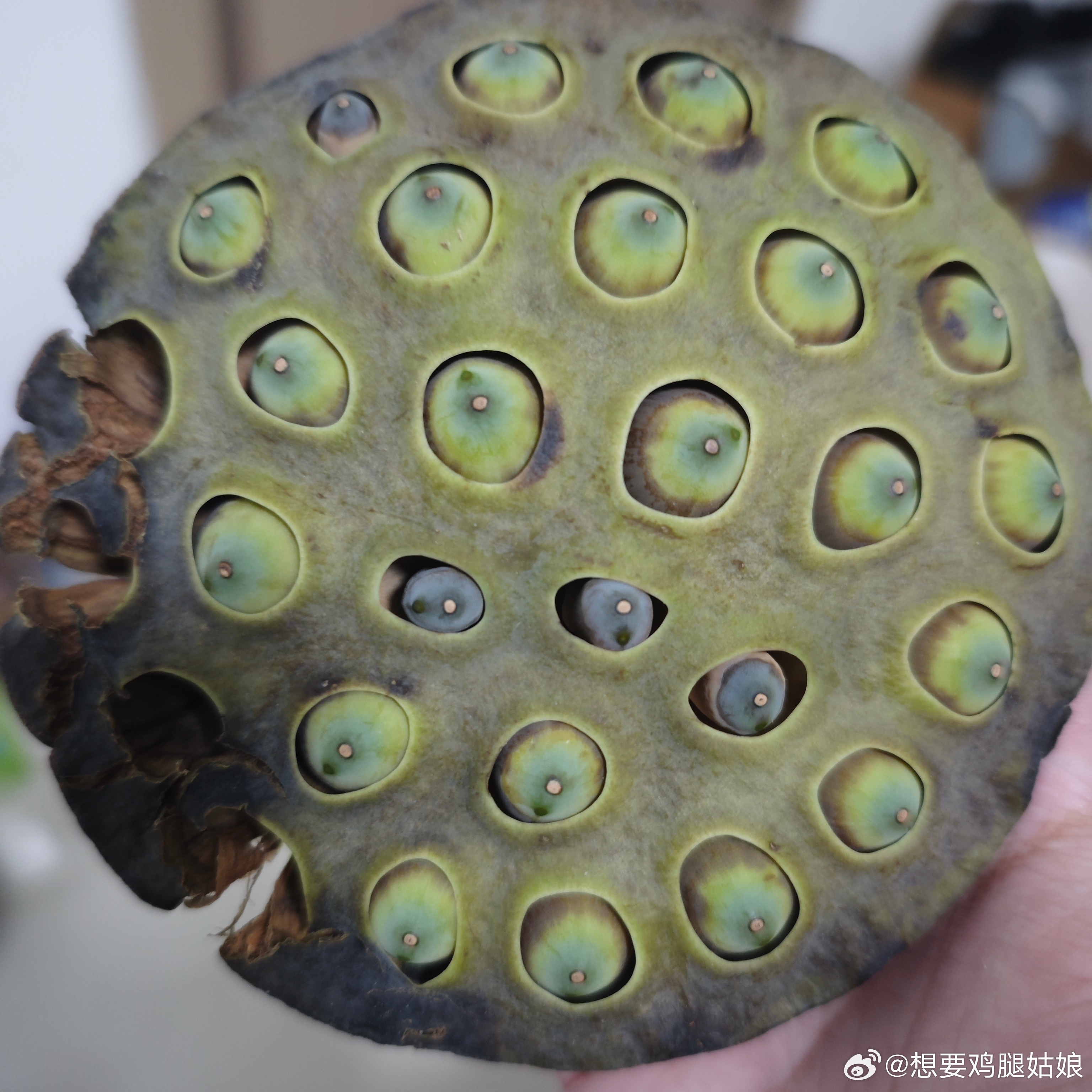 无尽夏夏子 以下为 2026-09-05 全网最新 10 条科技硬新闻（聚焦 A
