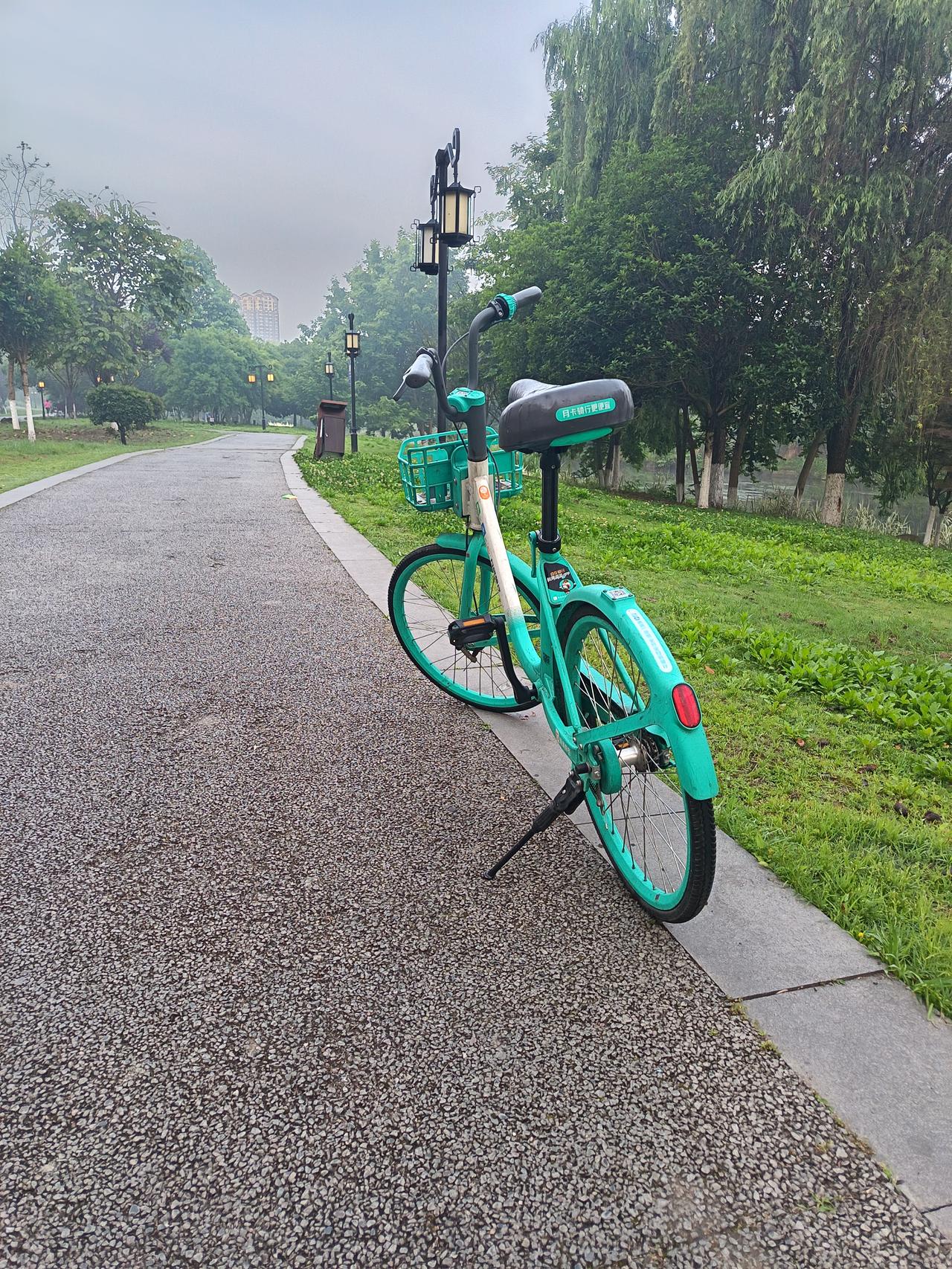 你会这样做吗？

今天早晨在步道跑步的时候，发觉有一辆共享自行车停在这个道上，感