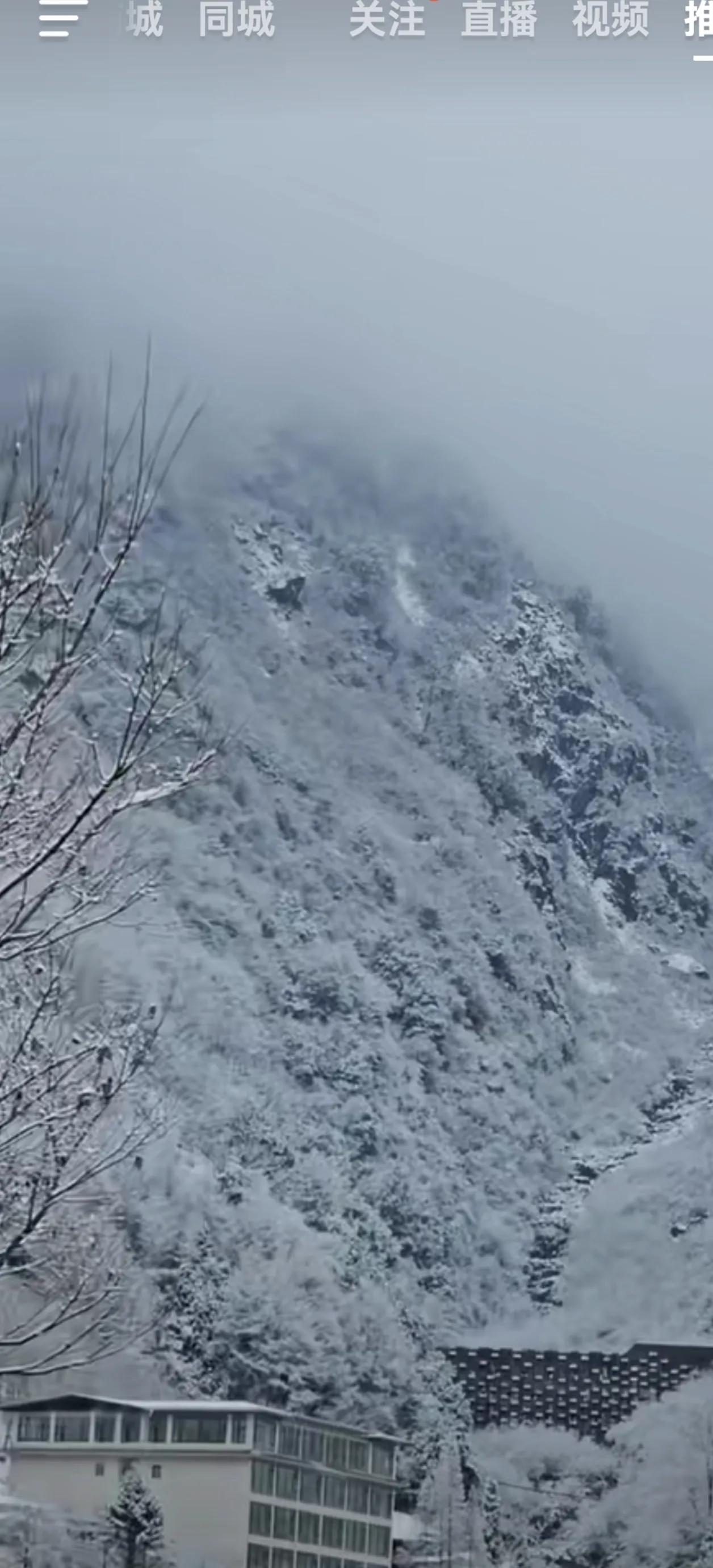 没有熊猫的图文，心里眼里却都是熊猫孩子们。看这大山，白雪皑皑，大山中，在这里有我