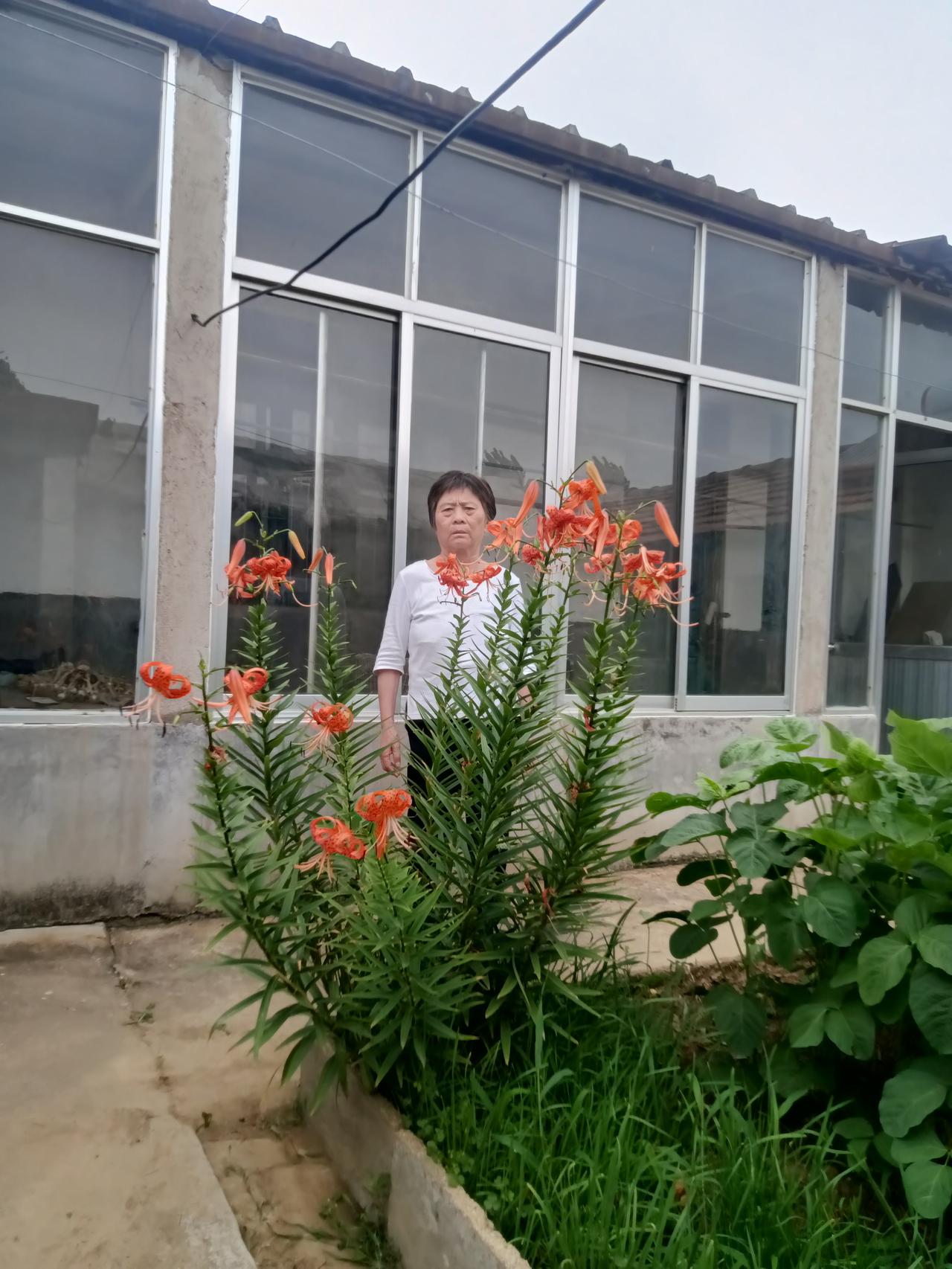 大展宏图
藏头诗
文/李兴伟
大展宏图志凌云，
展望未来显卓勋。
宏图为我终身志