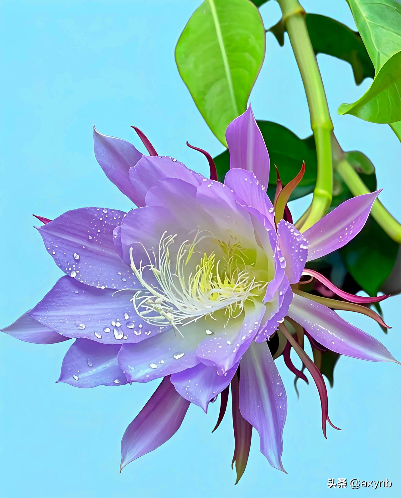 清晓启晨，温情相伴。
岁月含香，暖意流年。
寄语声声，柔润心间。
万事顺遂，好运