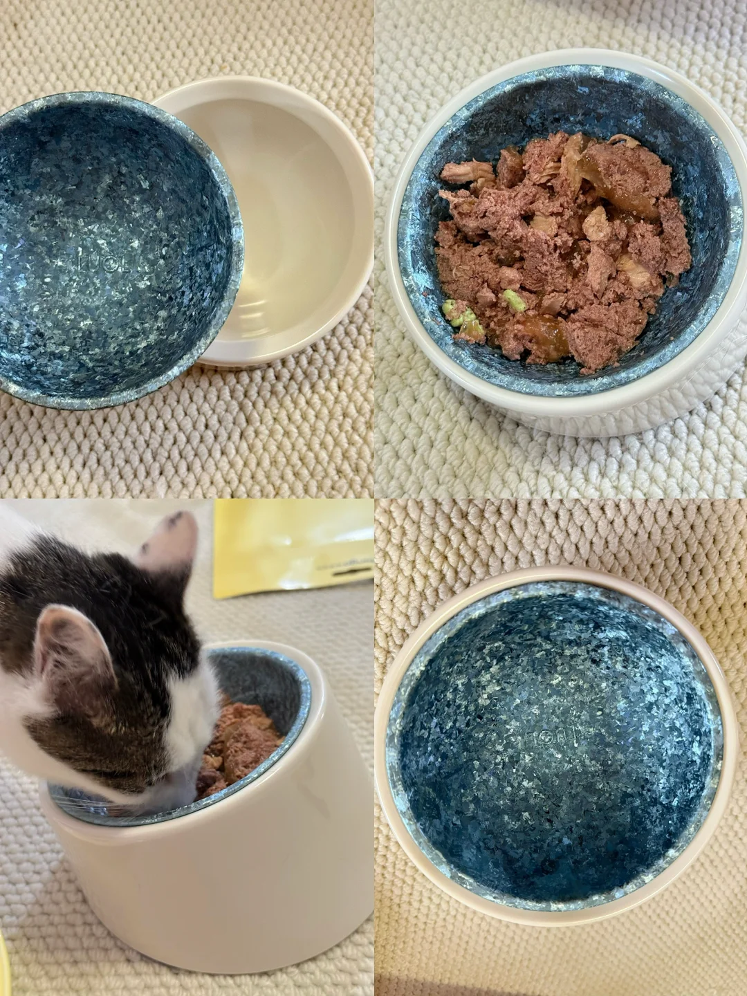 挖到了一个纯钛的猫🥣