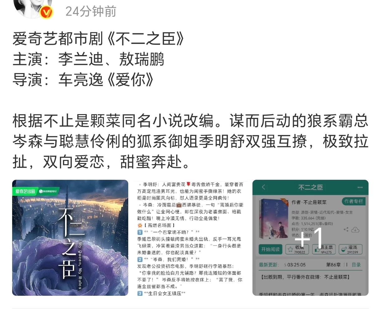 李兰迪 敖瑞鹏 二搭《不二之臣》业内是不是看朝雪录播的不错？ ​​​