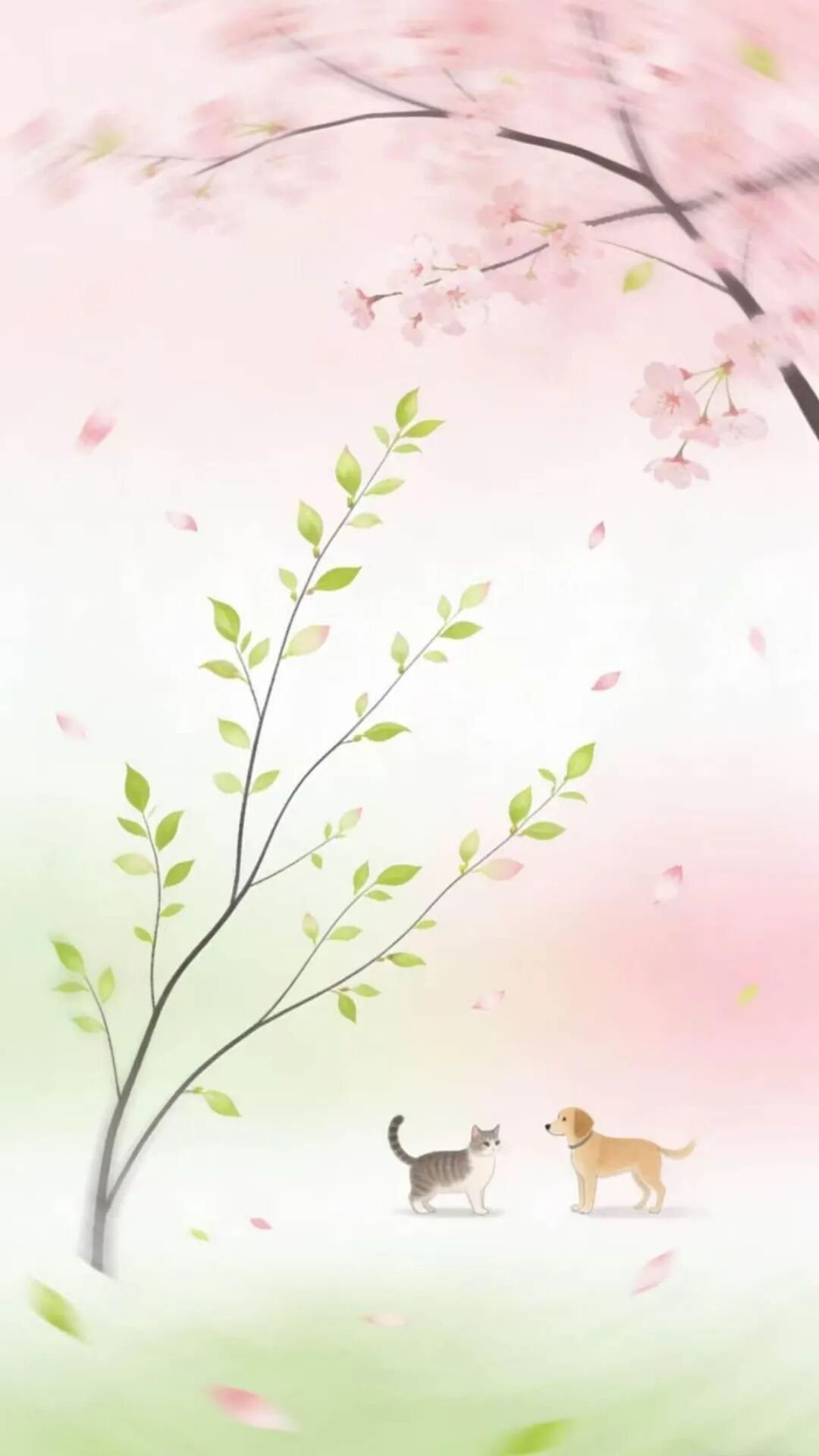 Share 壁纸 I 春风有信，花开有期