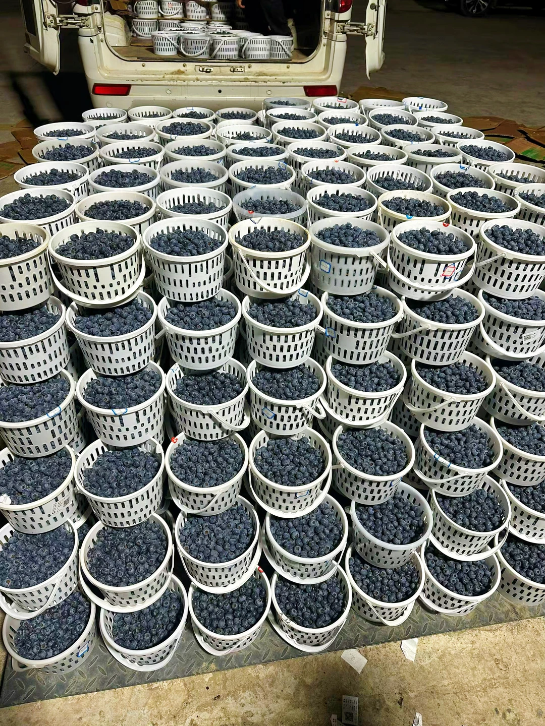 年前最后2天发货，桶装巨划算，赶快囤起来