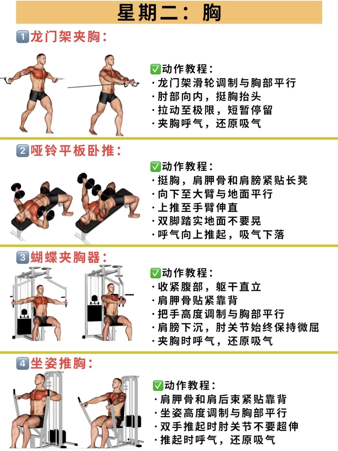 一周健身房计划！适合健身新手，附带详细教程