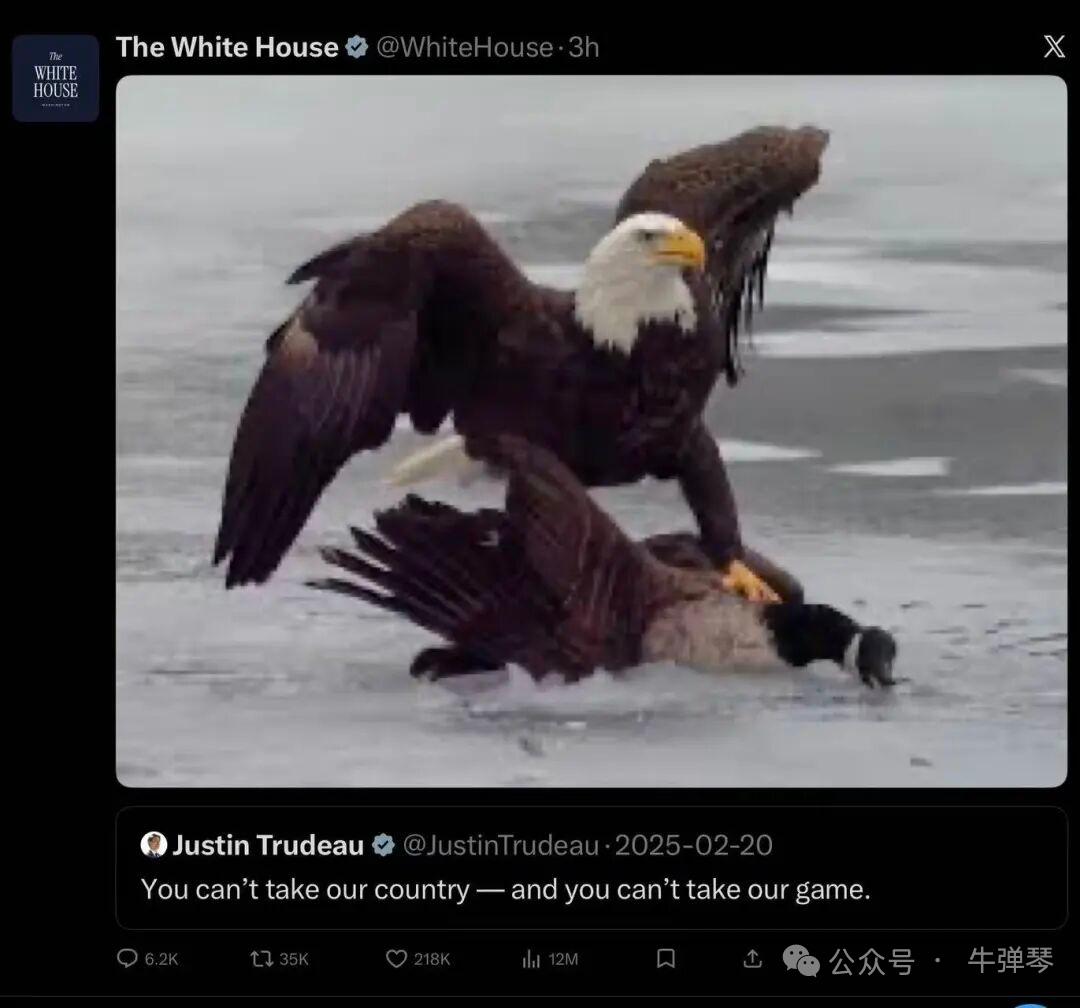 美国现在就像个小流氓一样，看到路边的垃圾桶他都想去踢一脚。

米兰冬奥会加拿大拿