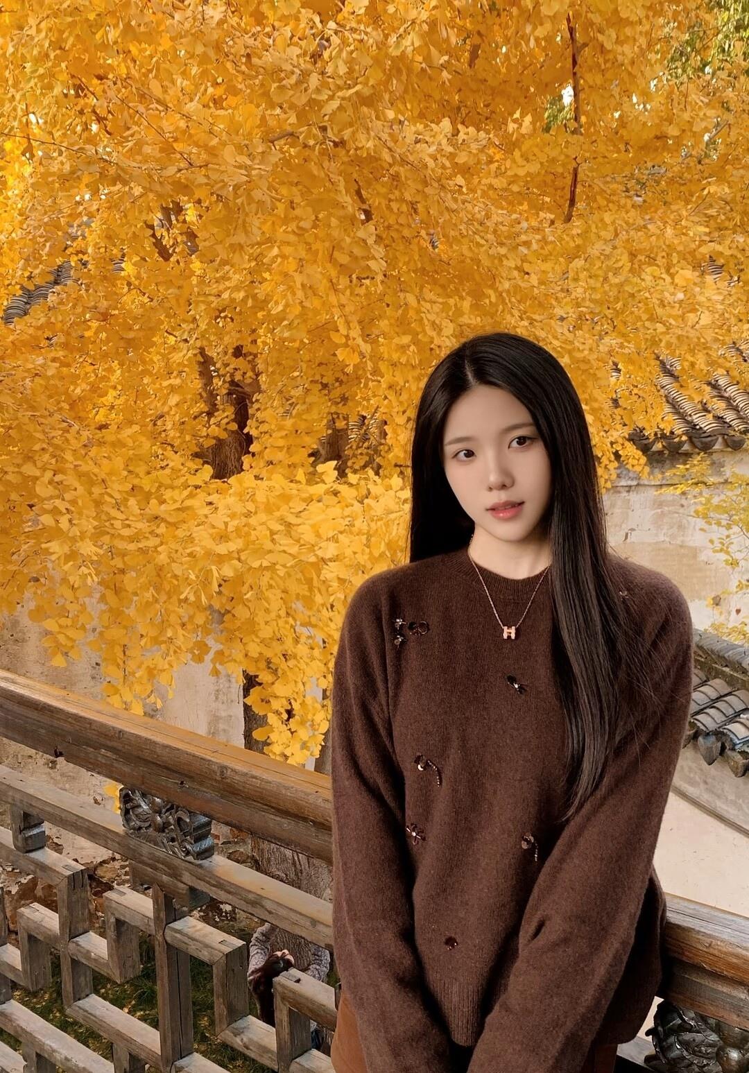 秋日暖阳下，少女与金黄树叶相映成趣