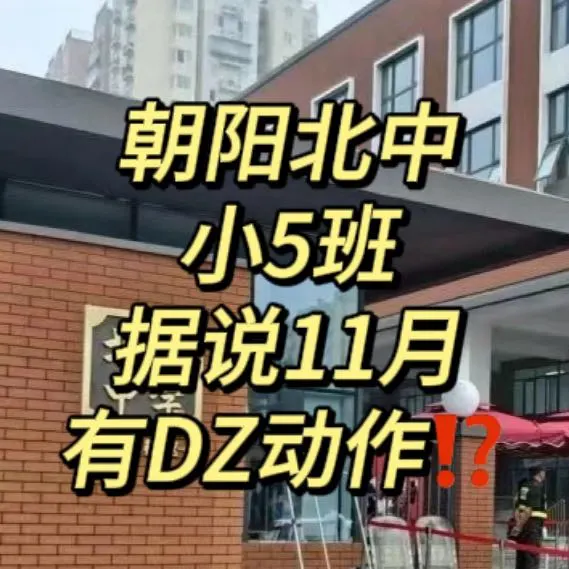 朝阳北中小五班11月要有动作❓