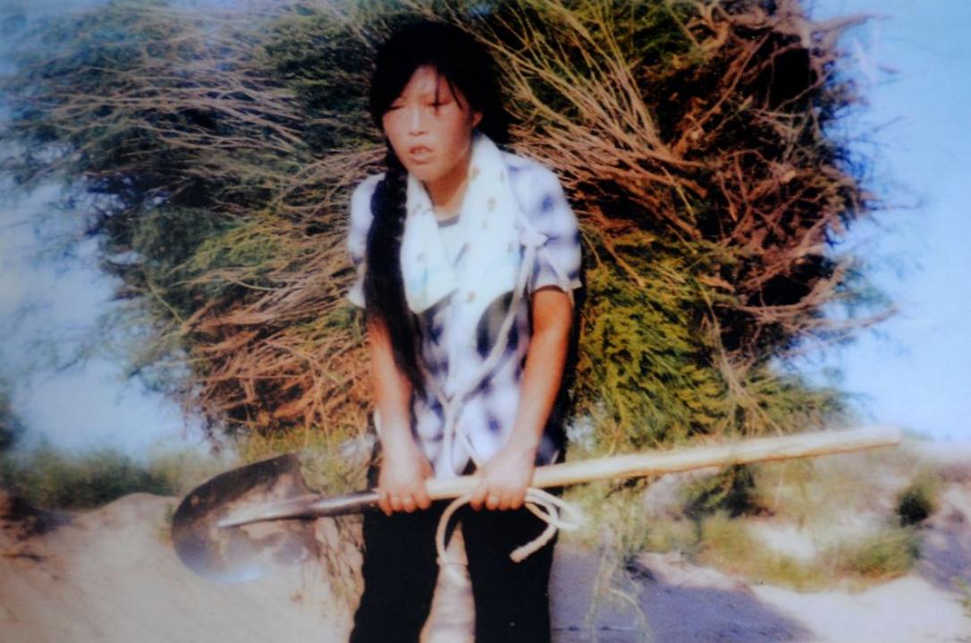 不愿嫁进黄沙，她本想逃离，最后在沙漠书写绿色奇迹。

说白了这个故事讲的就是一个