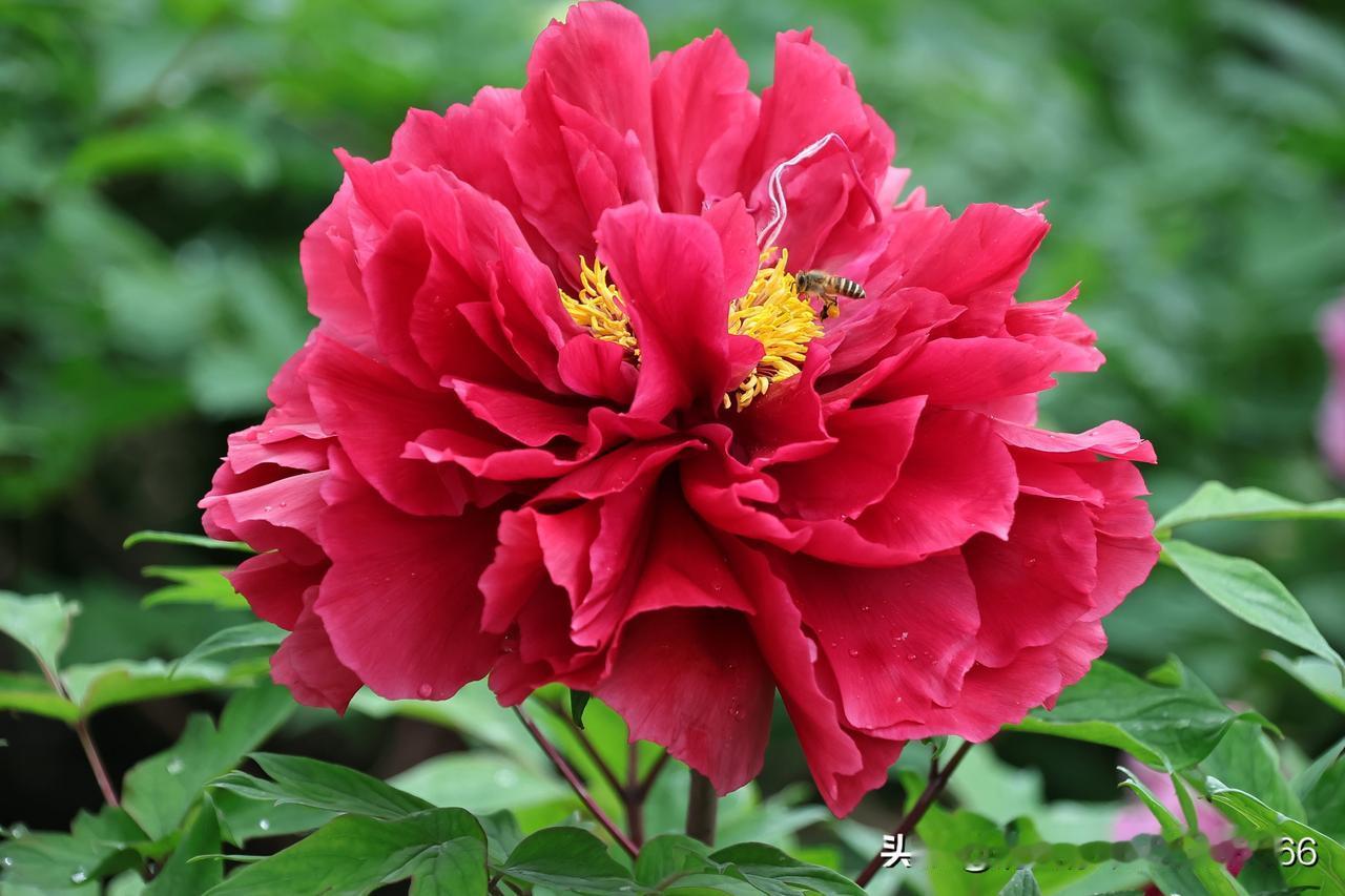 春日生活打卡季