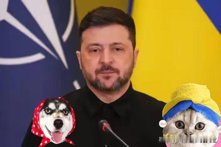 新华社基辅2月7日乌克兰总统泽连斯基说，俄军当天使用400多架无人机和近40枚导