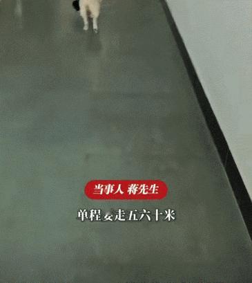 “母爱真伟大，狗也不例外啊！”广东广州的天气最近实在太闷热了，一只狗妈妈生下小狗