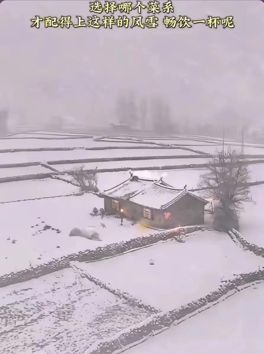 这样的雪景，是多少六零后七零后永远也不能忘却的记忆！
        流逝的岁月