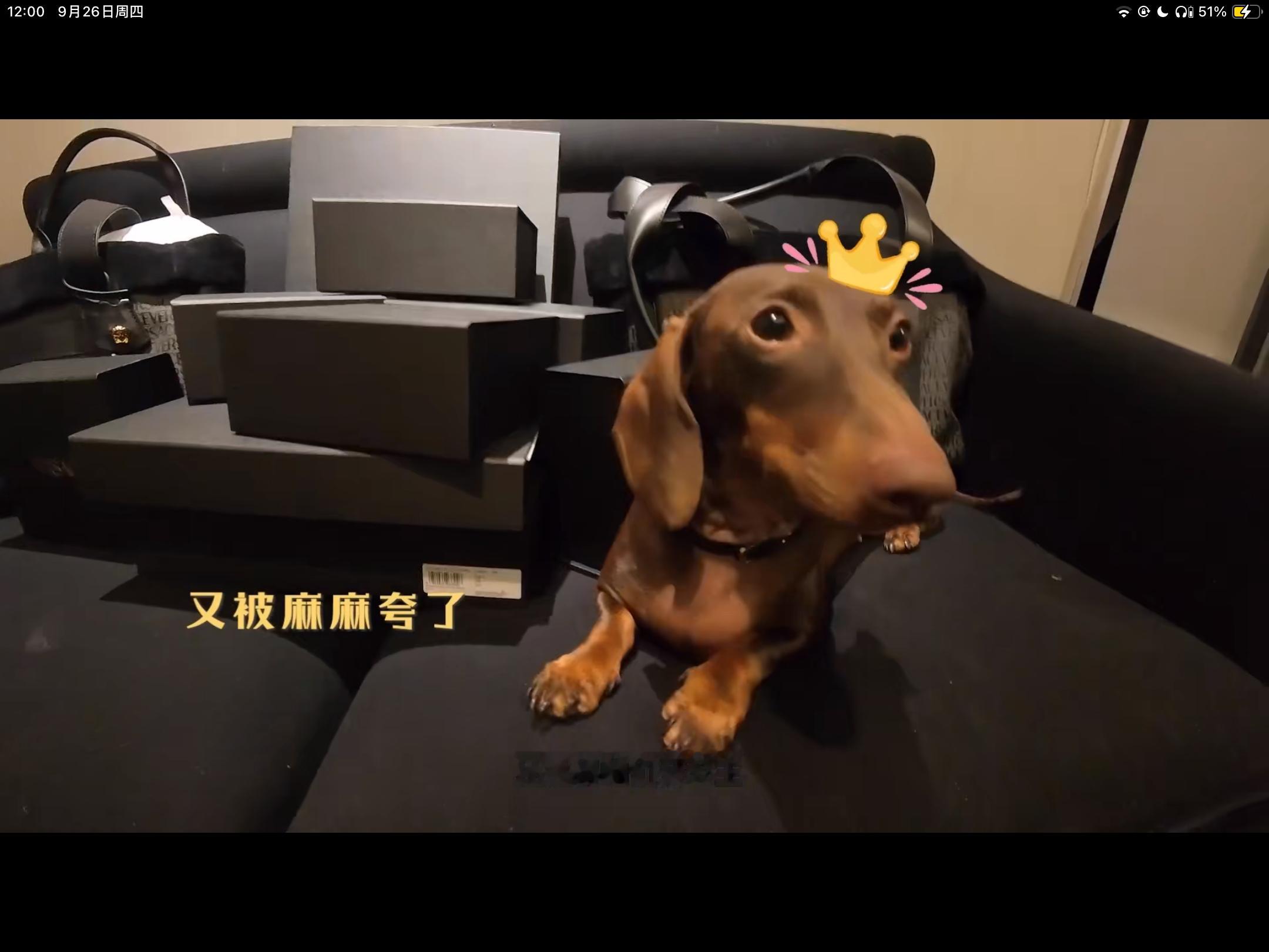 长成这样叫朵公主👑赵露思你别太溺爱doe了 ​​​