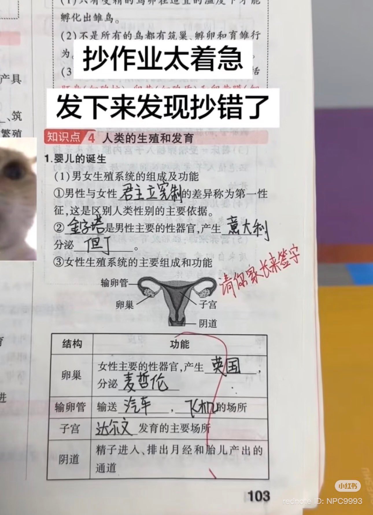 抄作业太急抄错了 