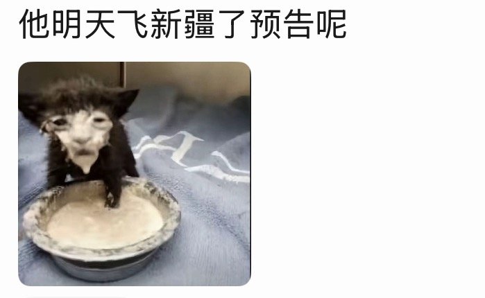 我特么哈哈哈哈哈哈哈哈哈哈 