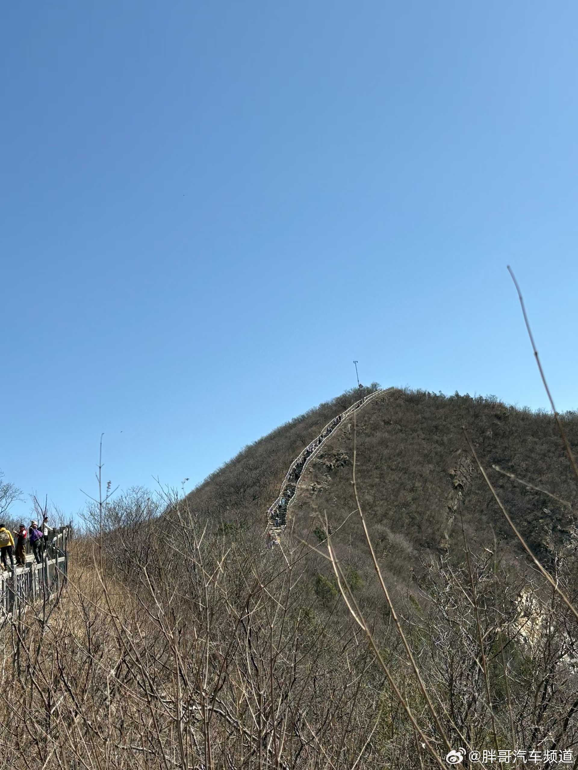 胖哥汽车频道花粉季过敏人在北京有多崩溃 谁能懂我的伙伴连续10天过敏是种什么感受