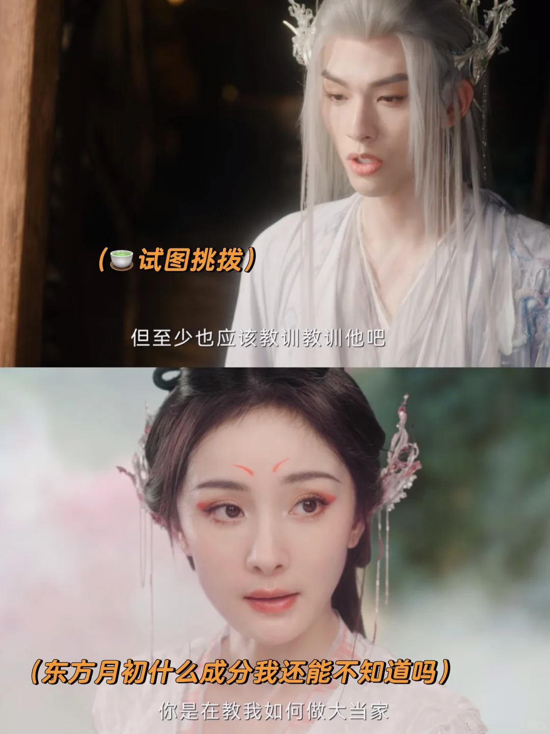 🍵挑拨 涂山红红来哄 一秒和好🤭
