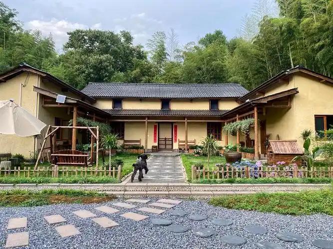 “养狗请到农村去养，不要要在城市里跟人类争地盘，现在是人让狗先走路而不是狗让人走