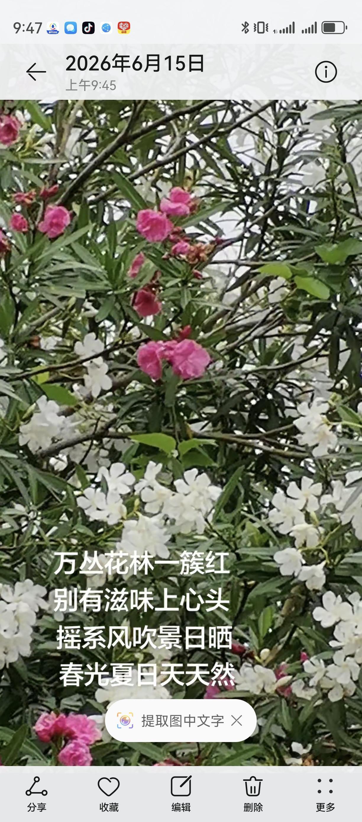 花心
万丛花林一簇红
别有滋味上心头
摇曳风吹晴日里
满眼繁华意正浓


整片花