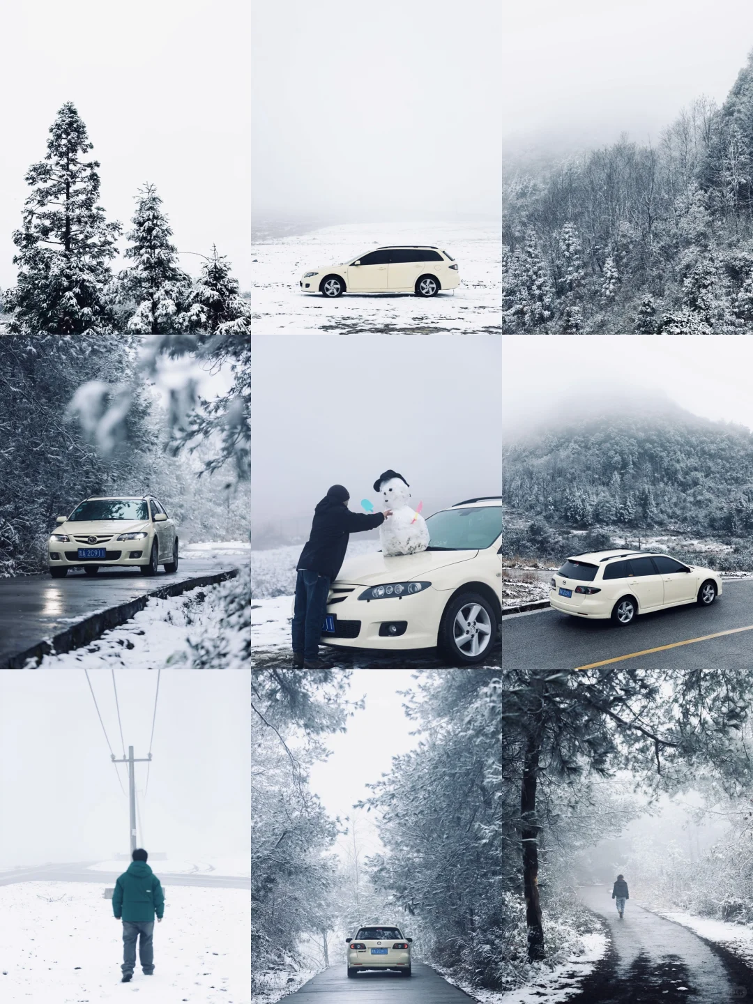 贵阳今天的雪景 🌨️ 你们都拍到了么