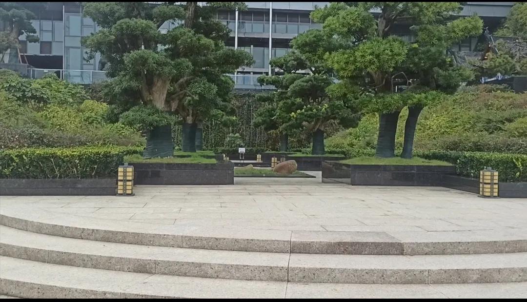 位于曾经的金阳最高点，标志性建筑201大厦，中天的总部大楼；不知何时在大楼门口前
