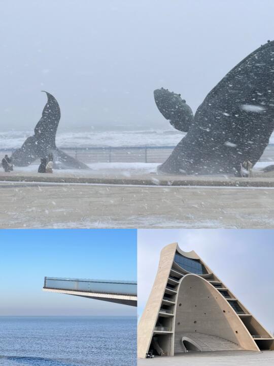 春节烟台游玩攻略指南（大实话）码住